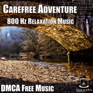 Carefree Adventure Cover